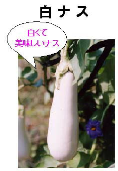 iX̊iʔ