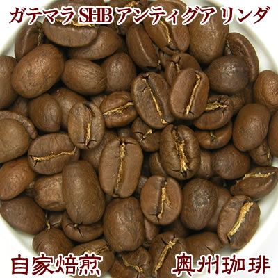 自家焙煎コーヒー豆ストレートコーヒー【ガテマラ SHB アンティグア リンダ】200g