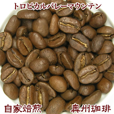 自家焙煎コーヒー豆ストレートコーヒー【トロピカルバレーマウンテン】500g