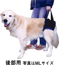 【大型犬用介護用品】歩行補助ハーネス（後部用／Lサイズ）
