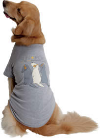 SUN POIKO 「犬のいぬTシャツ」【あす楽対応】アルバム「犬のうた」のジャケットのイラストをプリントした「犬のいぬTシャツ」