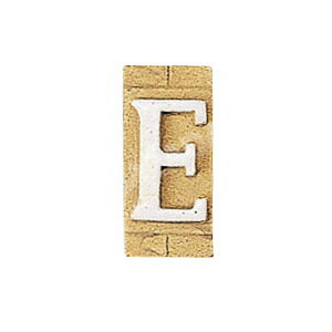 レビューで10％OFF♪【Essence】ネームタイル「E」（大文字）｜表札・看板などに