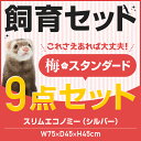 【飼育セット】梅・スタンダード スリムエコノミー(シルバー)定番安心セット!【送料無料】【お買い得】 フェレット/サークル/ケージ/ゲージ