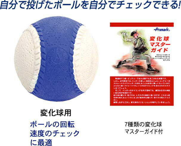 �v���}�[�N�@��]�`�F�b�N�{�[���@C����