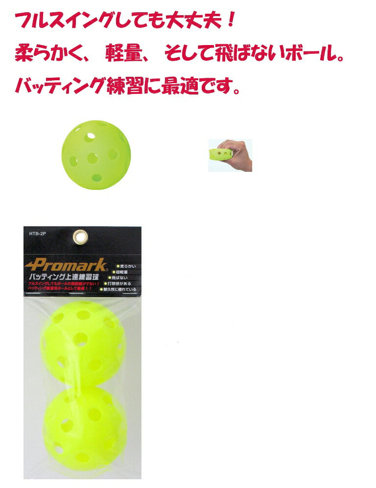【雨の日でも練習！練習！】バッティング強化に！打ち込み練習に最適！ プロマーク　バッティング上達練習球2球入【1117PUP2】【SPAP1121P02】