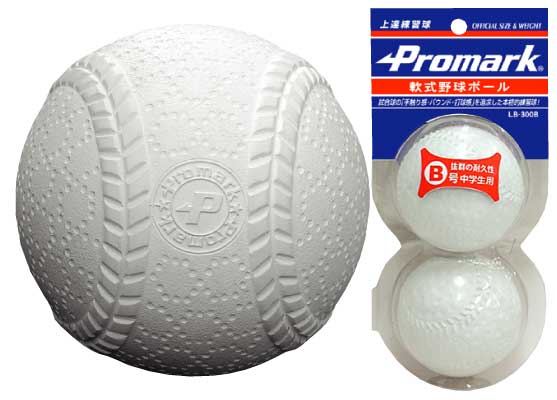 ץޡB桡2 LB-300B