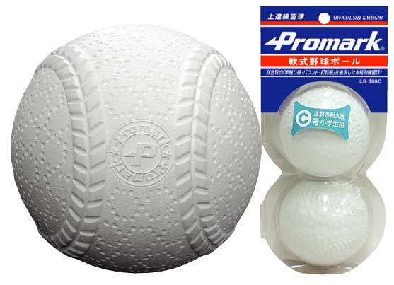 �v���}�[�N����K��C���@2���� LB-300C