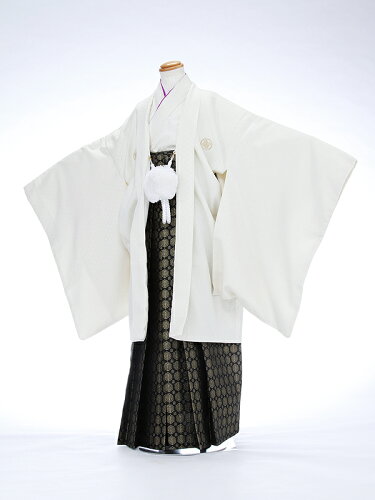 https://thumbnail.image.rakuten.co.jp/@0_gold/r-kimonoshop/image/hakama/IAQ1304000.jpg?_ex=500x500