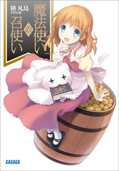 ガガガ文庫魔法使いの召使い(イラスト完全版)