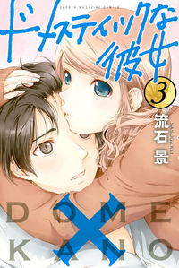 ドメスティックな彼女3巻