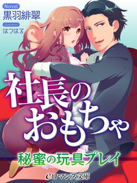 社長のおもちゃ秘蜜の玩具プレイ