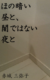 ほの暗い昼と、闇ではない夜と