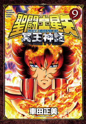 聖闘士星矢NEXTDIMENSION冥王神話9