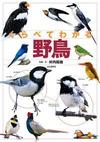 くらべてわかる野鳥