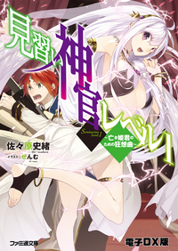 見習い神官レベル1(3)~亡き姫君のための狂想曲~電子DX版
