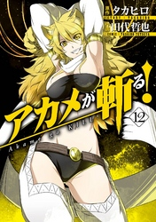 アカメが斬る!12巻