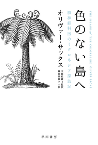 色のない島へ脳神経科医のミクロネシア探訪記