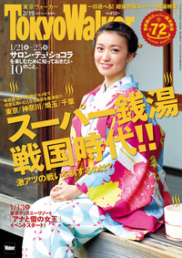 TokyoWalker東京ウォーカー2015No.2