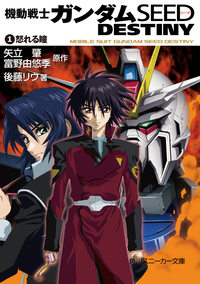 機動戦士ガンダムSEEDDESTINY1怒れる瞳