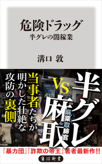 危険ドラッグ半グレの闇稼業