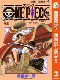 ONEPIECEカラー版3