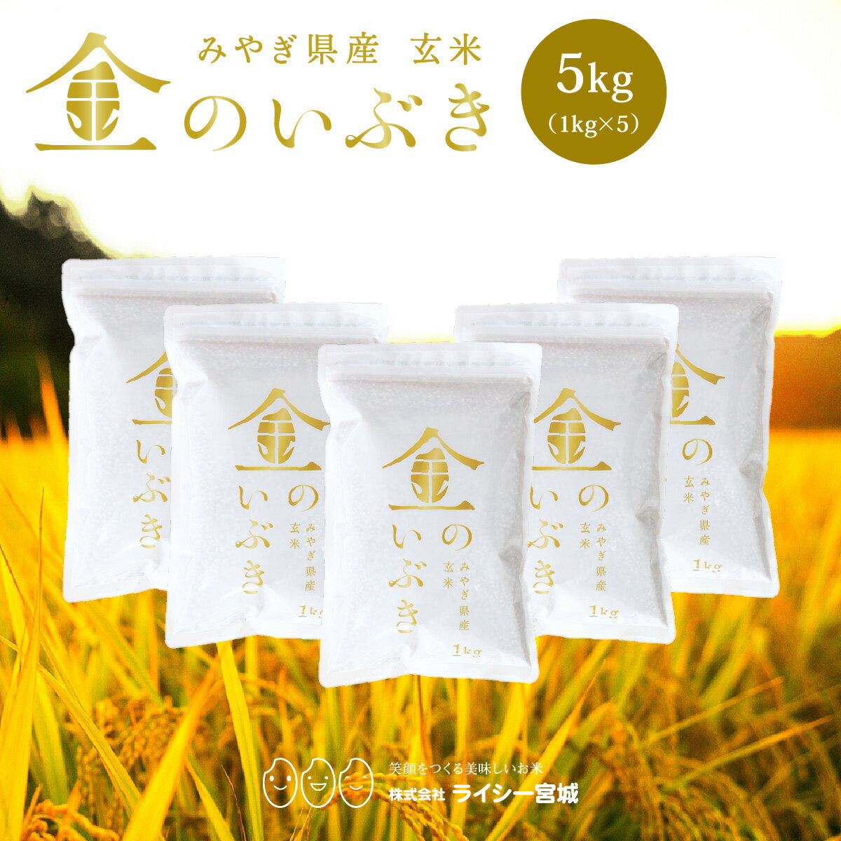 金のいぶき 玄米 5kg 送料無料 高機能玄米協会認定 宮城県産 令和6年産 高性能玄米 《5kg（1kg × 5袋）》 真空圧縮パック 宮城県水稲奨励品種 宮城県 玄米 国内産米 ブランド米