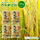 ひとめぼれ 米 20kg 宮城・栗原の阿部さんたちがつくったひとめぼれ 送料無料 産地直送 令和元年産 《20kg(5kg × 4袋)》 白米 お米 20kg 米20kg 米20キロ 精米 検査米 ブランド米