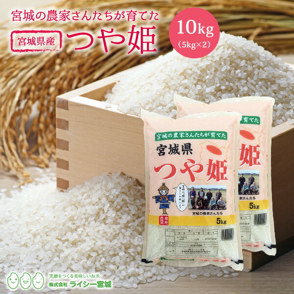 つや姫 米 10kg 送料無料 宮城県産 令和元年産 《10kg（5kg × 2袋）》 白米 お米 10kg 米10kg 米10キロ あす楽 宮城県 つやひめ 国内産米 精米 単一原料米 検査米 ブランド米 産地直送