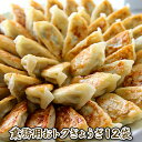 送料無料 12袋セット 業務用おトクぎょうざ プロが認めたにんにくの風味が効いた昔ながらの餃子 まとめ買い リピート 国産の野菜、鶏肉使用 餃子 ぎょうざ ギョウザ 野菜餃子 にんにく餃子 送料無料 業務用 餃子工房RON