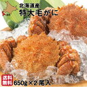 毛蟹 北海道 特大 浜茹 約650g×2尾 (計1.3kg前...