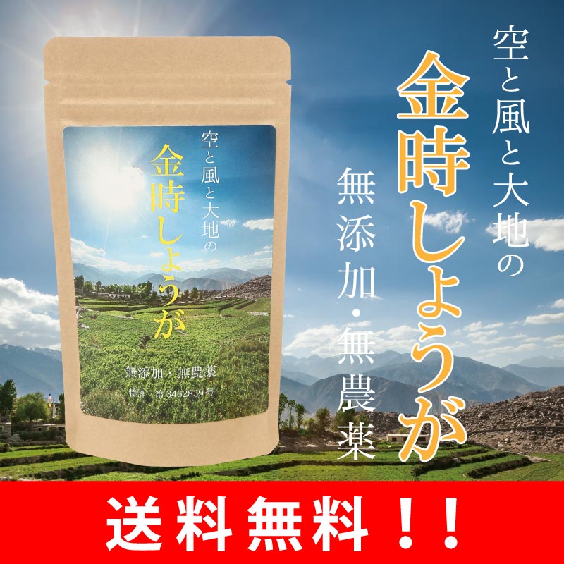 【スーパーセール特別価格】金時しょうが 粉末 100g 【送料無料】国産の金時生姜の種を無農薬栽培し、粉末加工しております。冷え性にお悩みのあなたに！純粋な金時ショウガの粉末のみを使用！