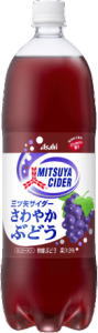 ATq@ԂǂOcTC_[@1.5L~8{@(1P[X)