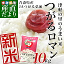 送料無料 平成30年産 青森県JAつがる弘前 つがるロマン...