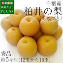 送料無料 千葉県産 柏井の梨(あきづき)約5キロ(10玉から...