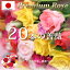 お祝いの20本のバラの花束 おまかせ(40cm×20本)お祝い用ローズギフト 無料ラッピング 徳島県産 産地直送/花・ガーデン・DIY 花・観葉植物 花束・切花