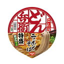 日清食品 日清のどん兵衛 特盛天ぷらそば（西）1箱12食