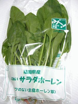 サラダ ほうれん草 1袋...:sankin-asaichi:10004909