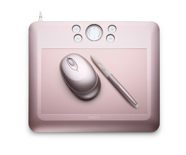 ̵ۡŹʥݥ2ܡ3/9()9:59ޤǡ CTE-650/P0 拾 Bamboo Fun 650(P) A5 (ԥ) PC_021P2