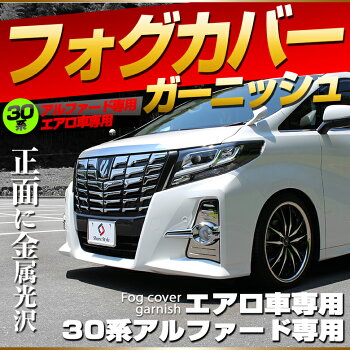 アルファード30ナンバートリムカバーステンレス製