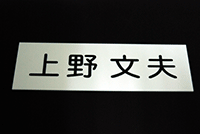 マンション表札　看板　ネームプレート　カットシート仕上げ　アクリル板　50×100×2mm（50平方cm以内）