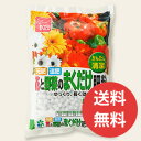 【送料無料!!】【気になるアイテムと同梱可能!!】[パンジー...