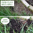【送料無料】[自然応用科学]芝生が！まくだけで甦る（土のリサイクル材）/14リットル×[4袋セット]　[土壌改良][再生材]　【tk0216f】