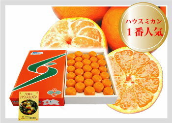 ≪予約販売≫【送料無料】『ハウスみかん30個入り　化粧箱』甘みの強いSサイズ約2.5kg入り 【出荷期間7月中旬〜8月上旬】[早和果樹園][ギフト 贈答用 メッセージカード ,温室みかん,ハウスミカン,有田みかん]