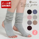 スリア ヨガ 靴下 滑り止め ヨガ ソックス スリア カルドゲッタ 【2サイズ展開 ヨガウ