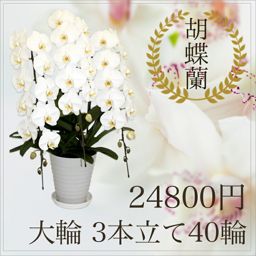 yzӒ  3{ 40     @ j JXj ړ]j ACj ij  ސEj җj Mtg aj i ĕ R`E 傤 i ǂ 