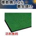 ニュートレビアン900×1500mm緑 テラモト MR-034-246-1 送料無料