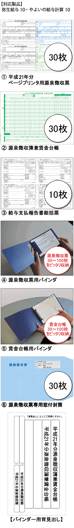 年末調整セット30人用（平成21年分）