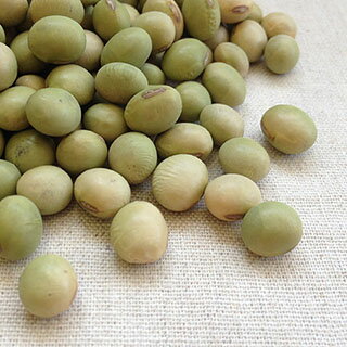 【送料無料】【同梱可】平成27年 山形県産 秘伝豆(青大豆・ひたし豆)【30kg】(業務用紙袋) 【送料無料】【同梱可】平成27年 山形県産 秘伝豆(青大豆・ひたし豆)【30kg】(業務用紙袋)