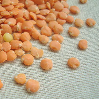 アメリカ産 赤レンズ豆【1kg】