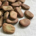 ボリビア産 空豆【500g】